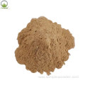 Natural Cactus Extract/Opuntia Extract/Cholla Stem Extract